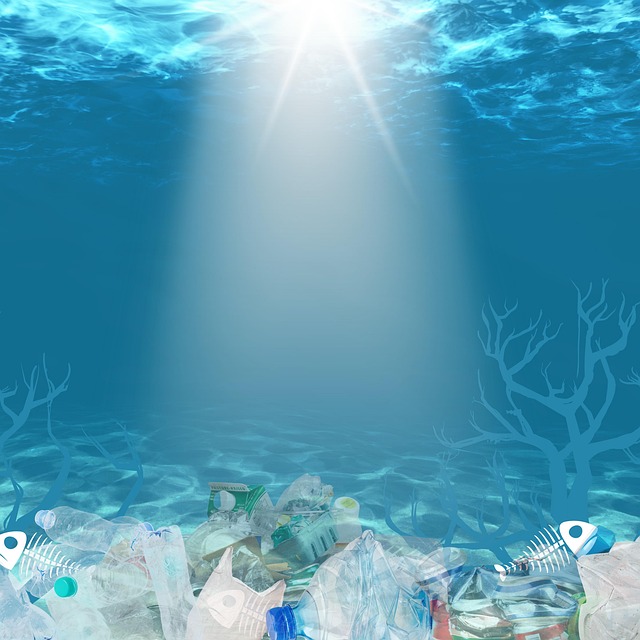 Gender Dynamics in the Plastic Waste Value Chain across South and Southeast Asia Image 2
