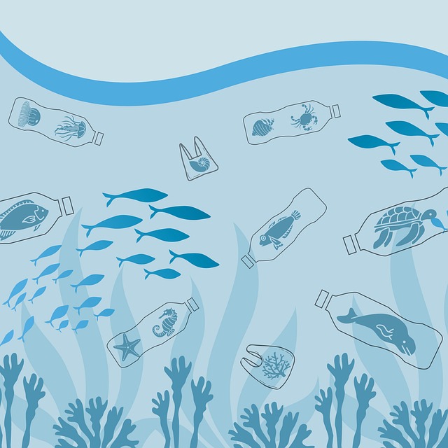 Gender Dynamics in the Plastic Waste Value Chain across South and Southeast Asia
